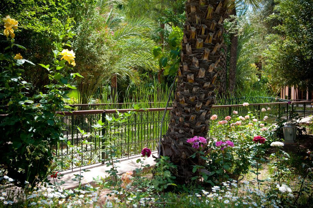 Dar Ayniwen Garden Hotel & Bird Zoo Marrakesh Exteriör bild
